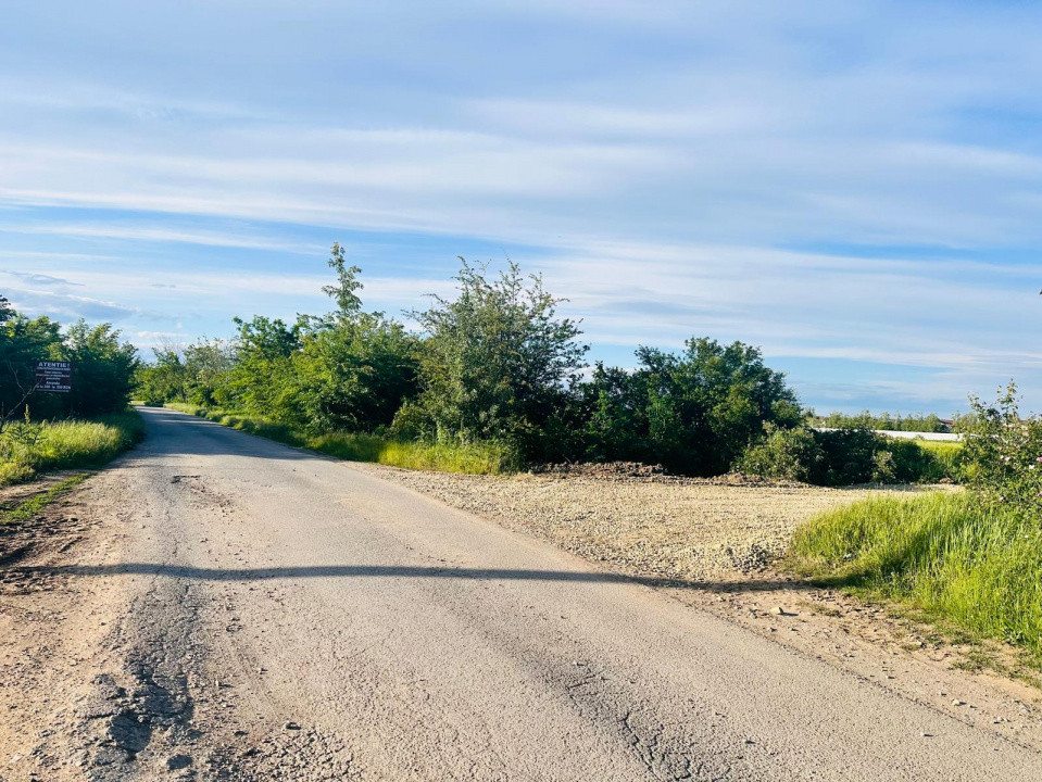 TEREN INTRAVILAN |  1000 mp | CORBEANCA | TAMASI | PADURE | 