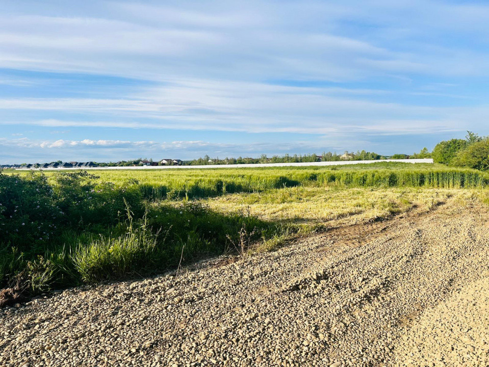 TEREN INTRAVILAN |  1000 mp | CORBEANCA | TAMASI | PADURE | 