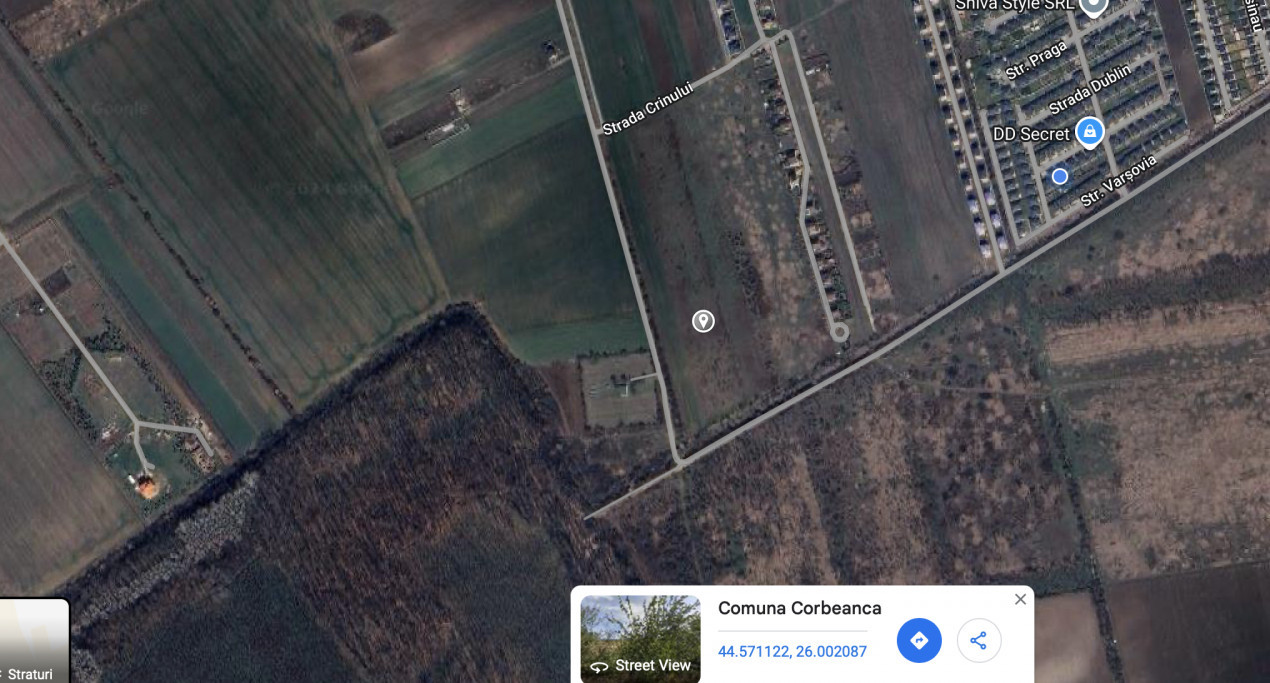 TEREN INTRAVILAN |  1000 mp | CORBEANCA | TAMASI | PADURE | 