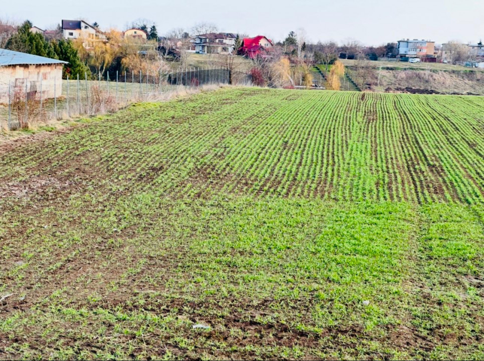 TEREN INTRAVILAN | BALOTESTI | DESCHIDERE 40 M LA LAC | 9.919 MP | LAHOVARI |