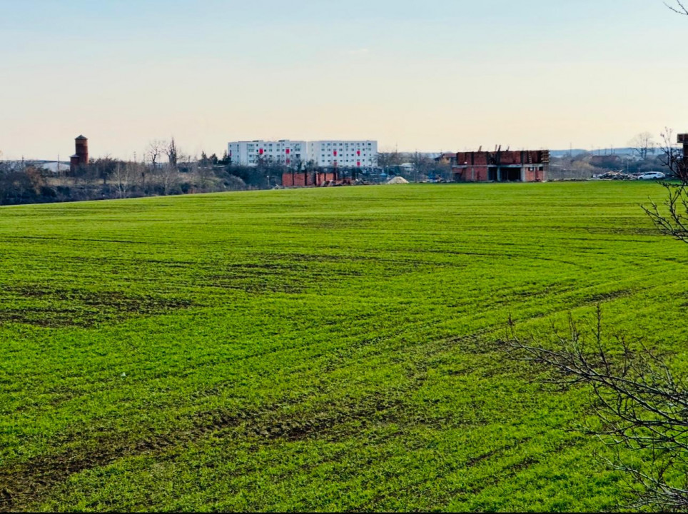 TEREN INTRAVILAN | BALOTESTI | DESCHIDERE 40 M LA LAC | 9.919 MP | LAHOVARI |