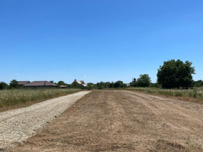 Teren intravilan | Parcelat | Proiect casa | Snagov | Tancabesti  